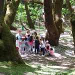 Οργανωμένες Εκδρομές