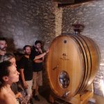 Οργανωμένες Εκδρομές