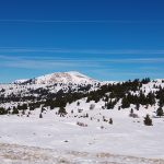 Οργανωμένες εκδρομές